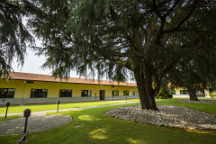 Syes Production Center